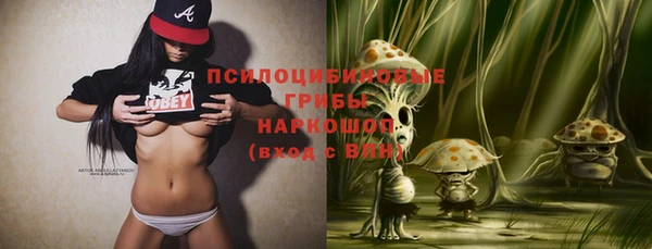 дмт Лихославль
