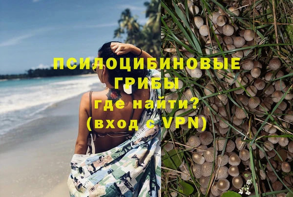 герыч Лиски
