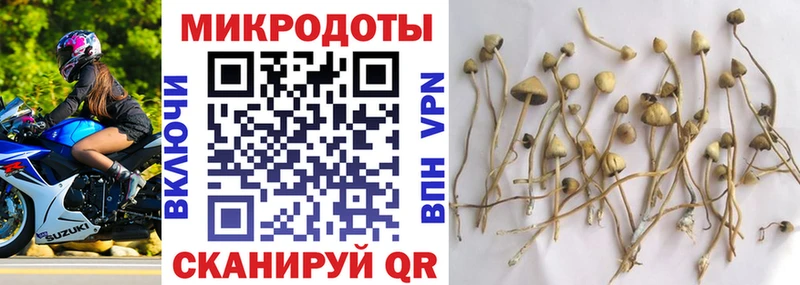 Галлюциногенные грибы мухоморы  где купить наркоту  Сосновый Бор 