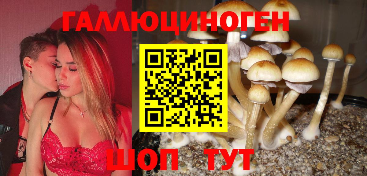 Псилоцибиновые грибы прущие грибы  Вход с VPN  Сосновый Бор 