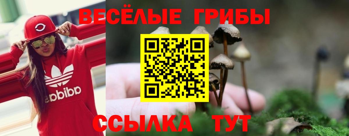 Галлюциногенные грибы GOLDEN TEACHER  Сосновый Бор 