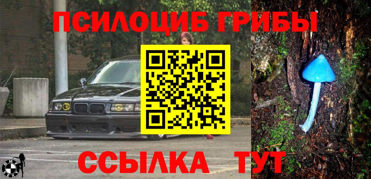 Галлюциногенные грибы ЛСД Сосновый Бор